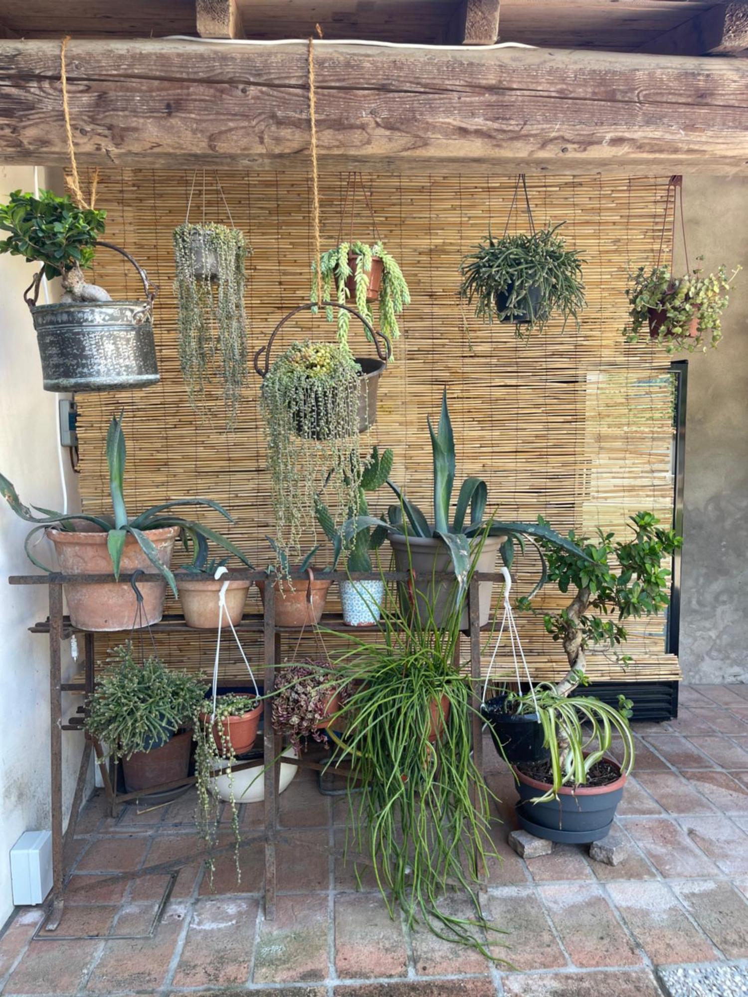 Lamirage - Una Vera Oasi Di Pace Bozzolo Extérieur photo